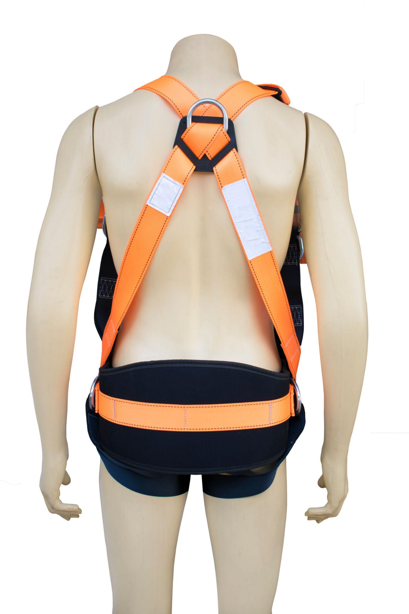 Safety Harness